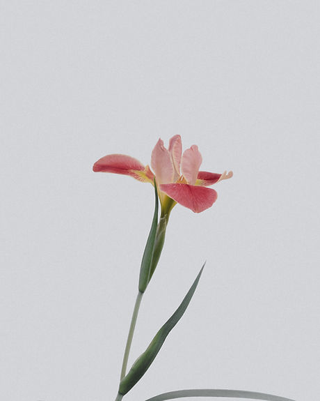 Image by Han Chenxu