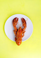 DANTE AND THE LOBSTER