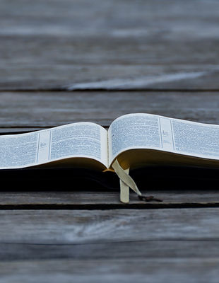 Image by Danylo Suprun