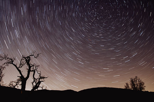 Image by Caleb Woods