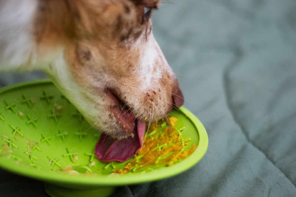 Dog licking a green textured mat with food residue, set on a soft, muted background. The dog appears focused and content.