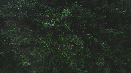 Image by mario parente