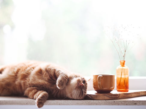 What Happens in Your First Therapy Visit?