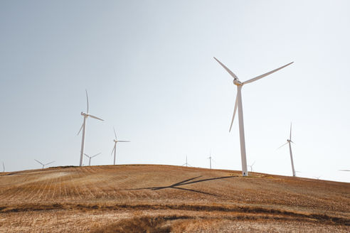 New Procurement Challenges in the I-REC Market