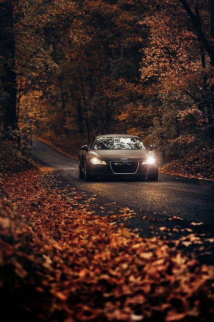 Image by Roberto Nickson