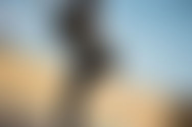 Anger & Rage. Can Therapy Fix 2020?