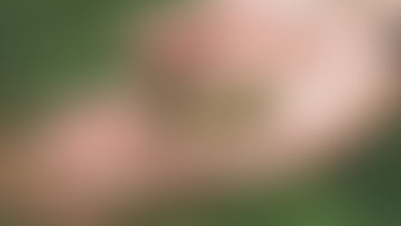 Jonah's Crew (0-3 years) Are seed planting! 24th May