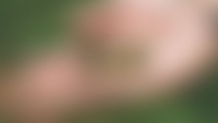 Jonah's Crew (0-3 years) Are seed planting! 24th May