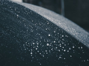 Damp: what is it and how does it affect your health