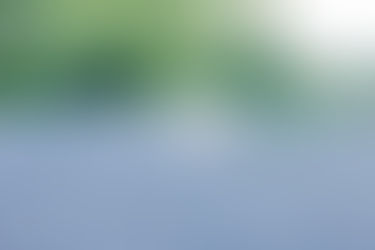 Proverbs of a 42 yr old man