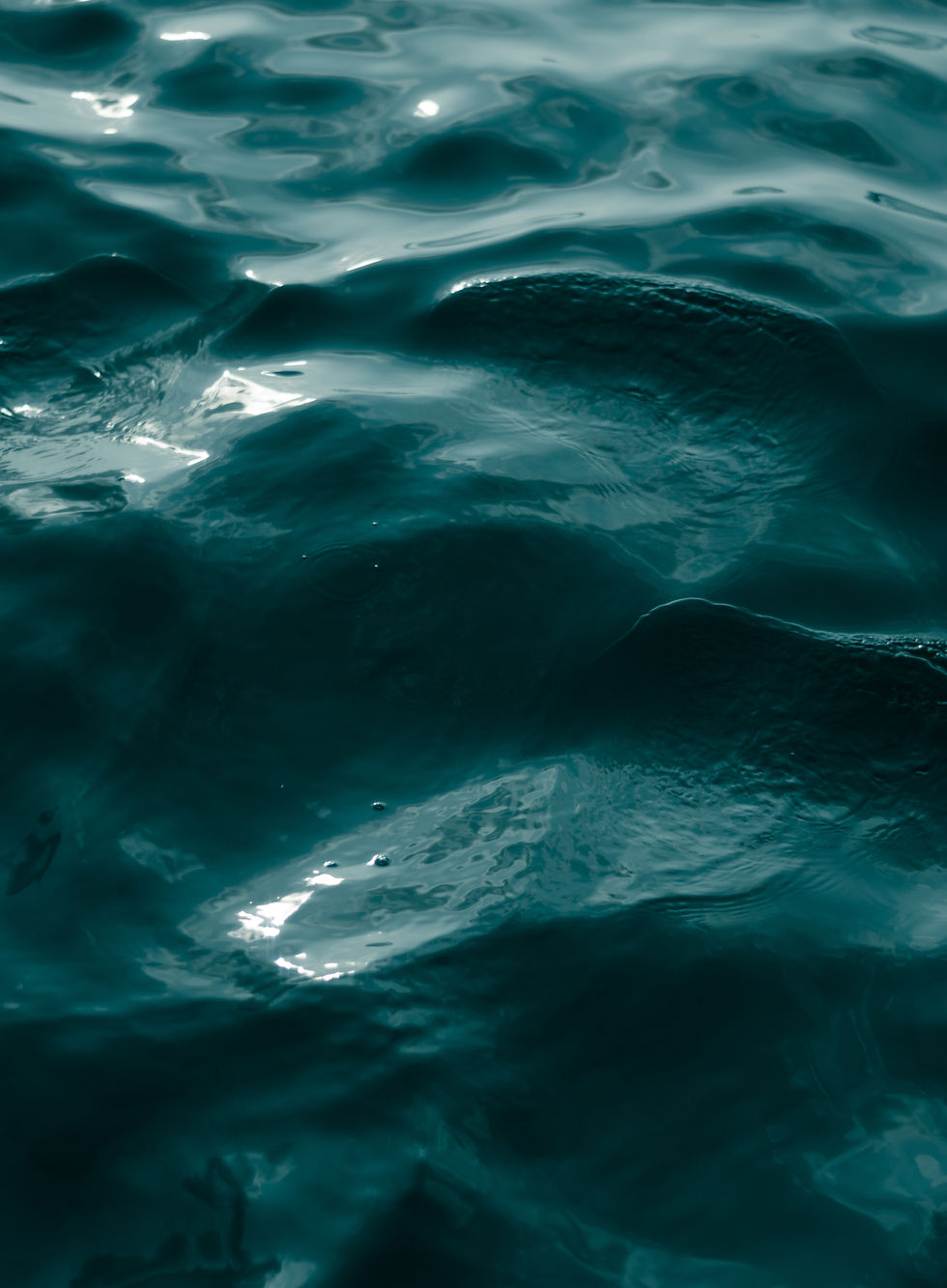 Image by Husnee Mubaarik