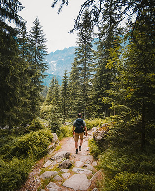 Image de Josh Hild