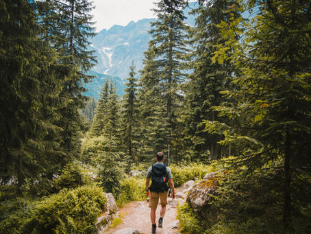 Embracing Wholeness: A Journey Through Growth and Transformation