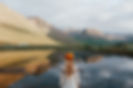 Image by Ása Steinarsdóttir
