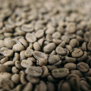 Green-Coffee