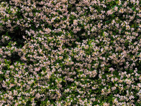Spring Into Self-Care
