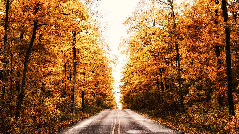 Image by Yi Liu