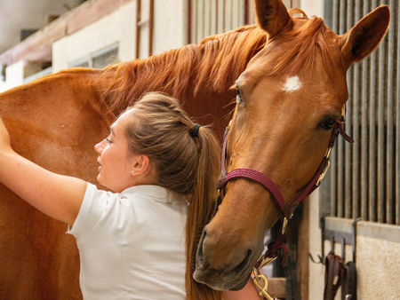 Girl grooming horse