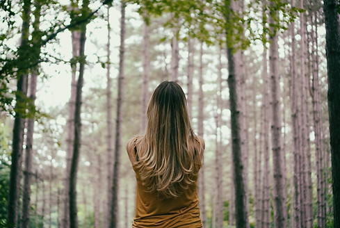 Image by Yasin Hoşgör
