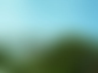 Sustainable Development Projects in Casamance: Get Involved