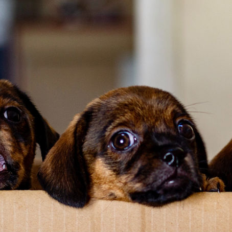 The Perfect Daily Pick-Me-Up ... enter stressed - leave refreshed