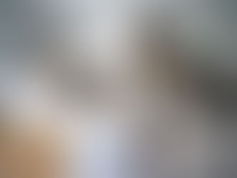 VERHUISMATERIAAL HUREN BIJ DE BVC