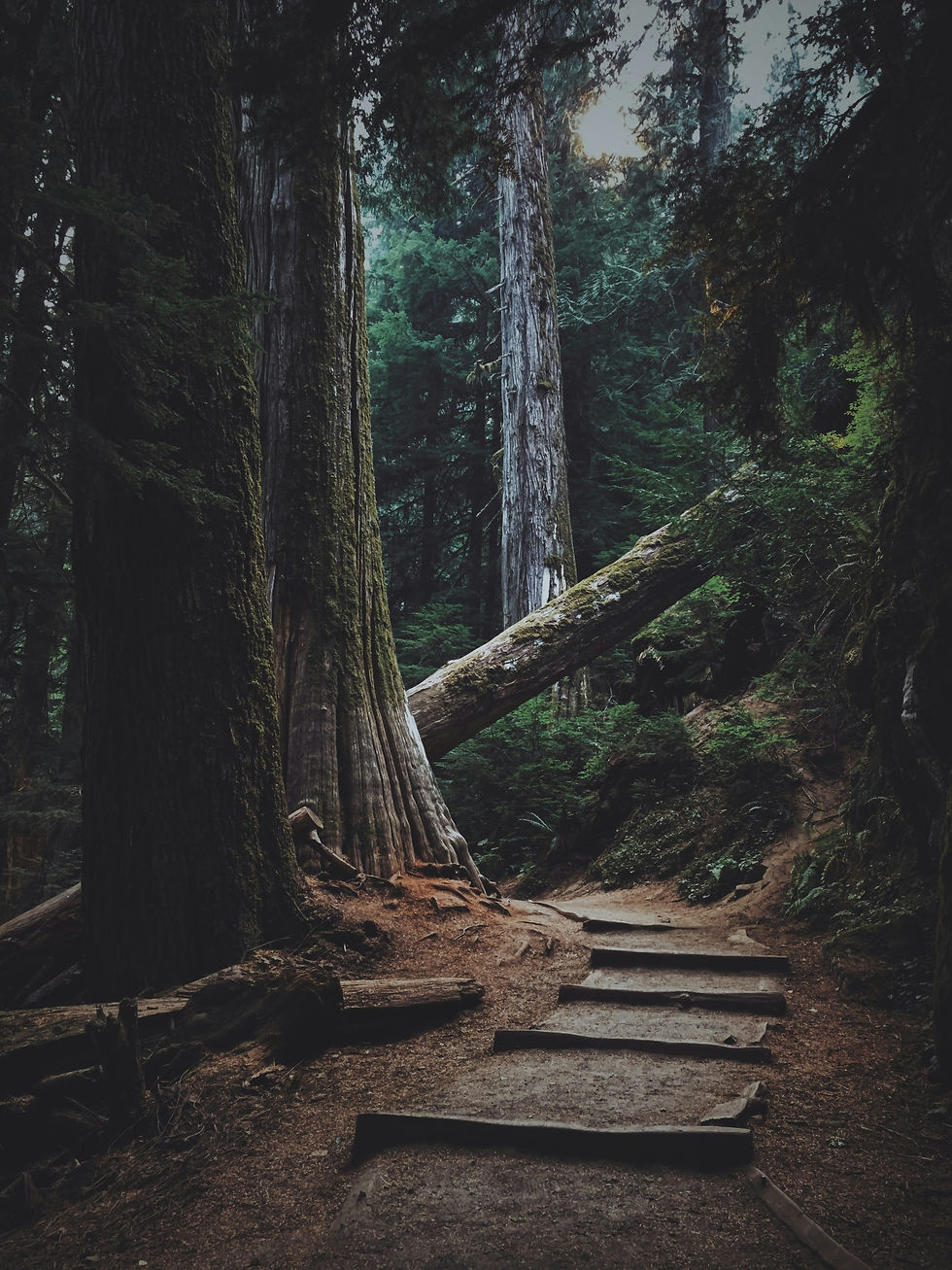 Finding Clarity Within Chaos: Navigating Life's Turbulent Journey to Inner Peace
