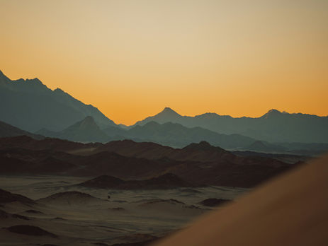 Dystopia Chapter 47: A Ruse