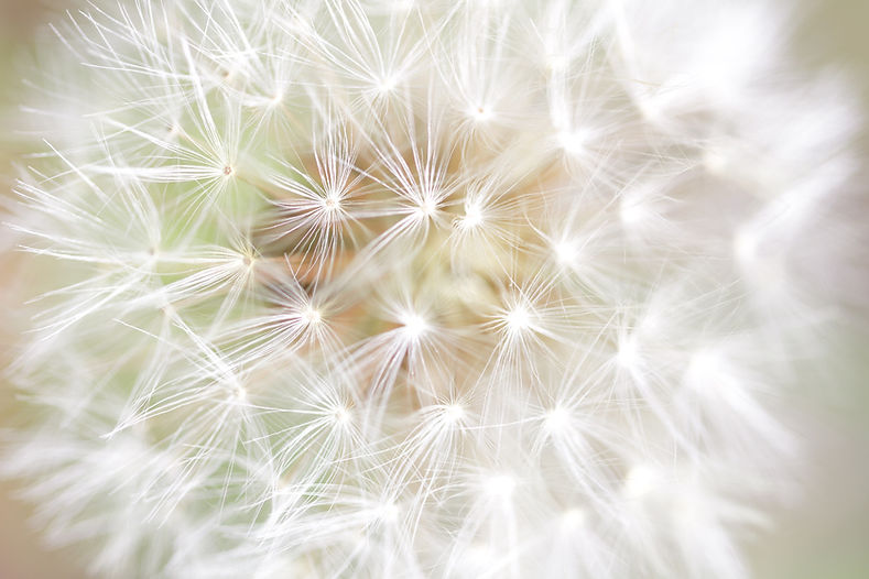 Image by Manuel Bartsch