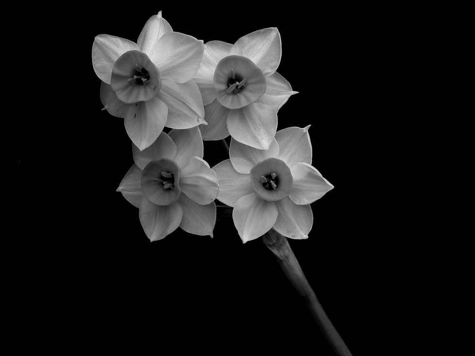Image by Matt Artz