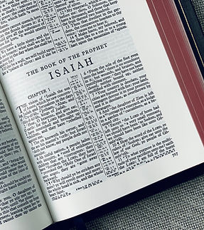 Image by Tim Wildsmith