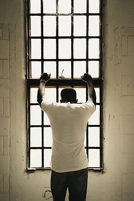 Image by Karsten Winegeart