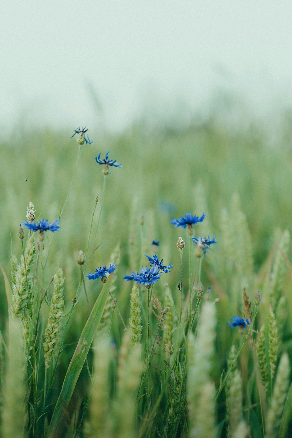 When PMS Turns Up the Volume on Anxiety: How to Manage It