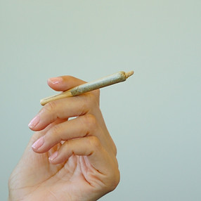 Image by Elsa Olofsson