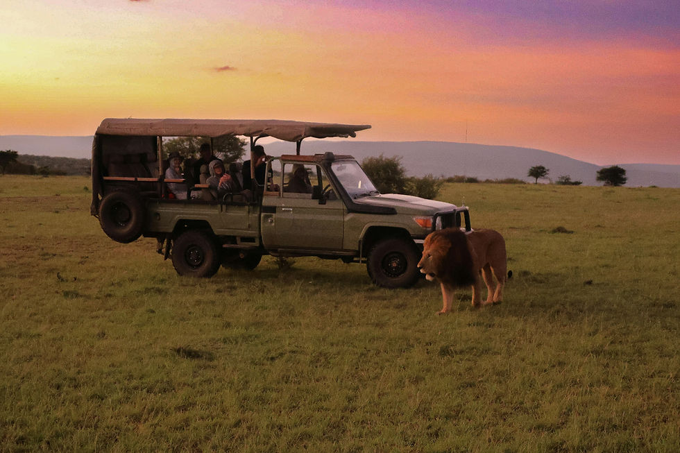 Tanzanian Safari Expedition: A 6-Day Symphony of Nature's Grandeur SERENGETI ,TARANGIRE, NGORONGORO & MANYARA at $1499
