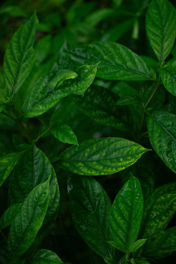 Happy San Jose homeowners after a same-day junk pickup by San Jose Junk Removal Pros — fast, friendly, and eco-conscious service.