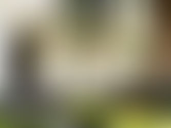 Spring into Gardening: Perth Tips for a Thriving Outdoor Space