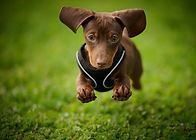 Image by Steve Smith