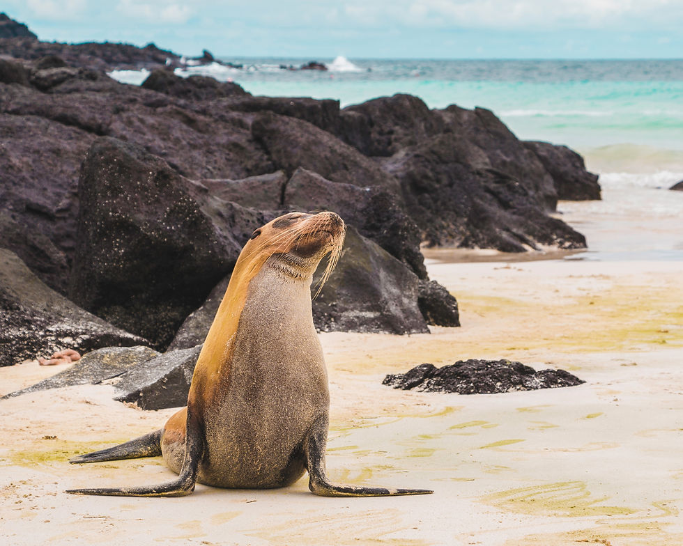 Ecuador and Galapagos