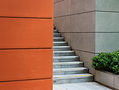 Image by Declan Sun