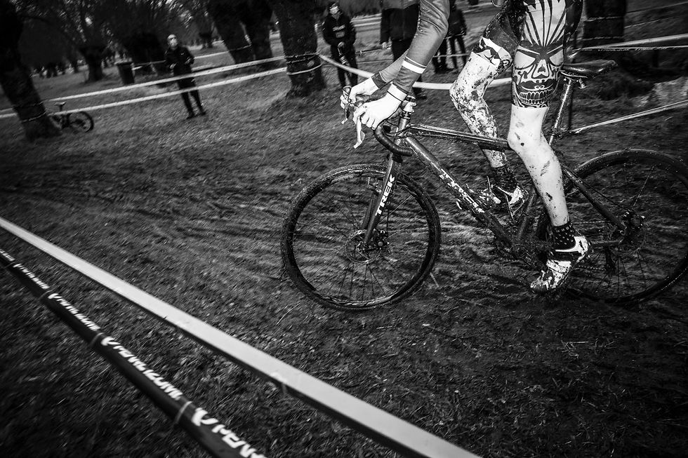 Image by Daniel Llorente