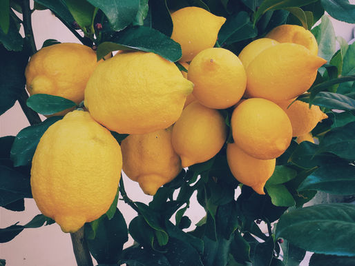 Magickal Properties of Lemon for Herbalism & Witchcraft