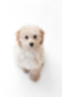 Image by NordWood Themes