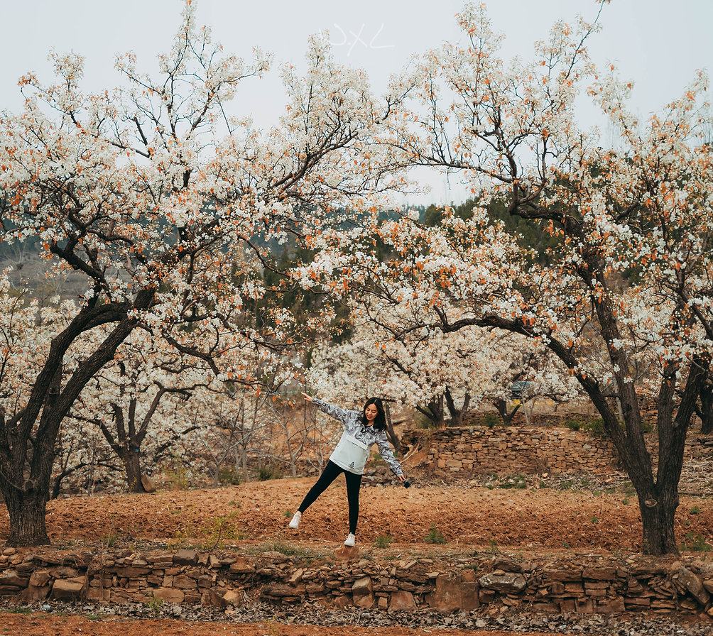 Image by Xiaolong Wong