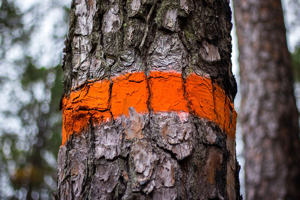 Image by Savannah Lakes Village