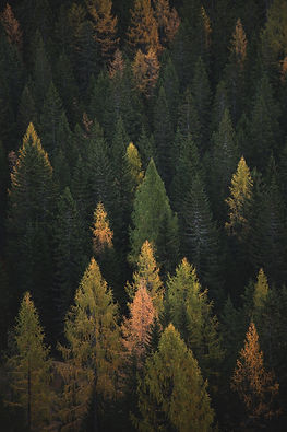 Image de Federico Bottos
