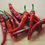 Thumbnail: Organic Fresh Cayenne Pepper (1/5 lb)