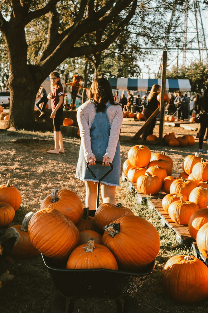 Image by Kylie Paz