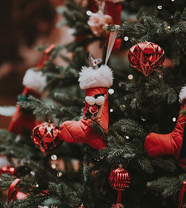 Image by Annie Spratt