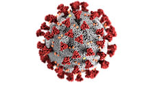 Image by CDC